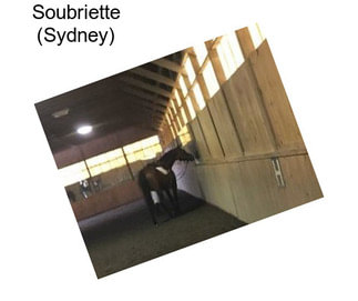 Soubriette (Sydney)