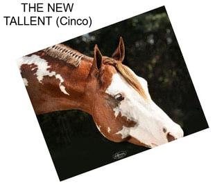 THE NEW TALLENT (Cinco)