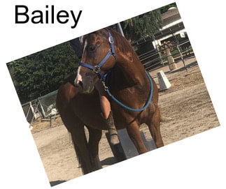 Bailey