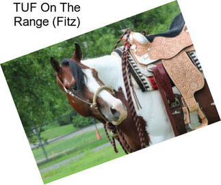 TUF On The Range (Fitz)