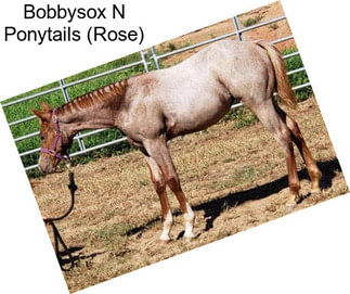 Bobbysox N Ponytails (Rose)