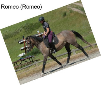 Romeo (Romeo)