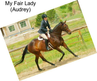 My Fair Lady (Audrey)