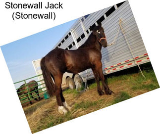 Stonewall Jack (Stonewall)