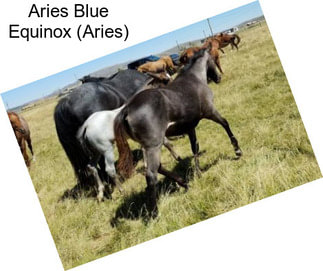 Aries Blue Equinox (Aries)