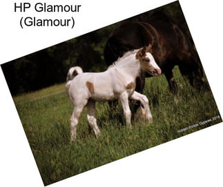 HP Glamour (Glamour)