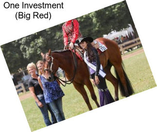 One Investment (Big Red)