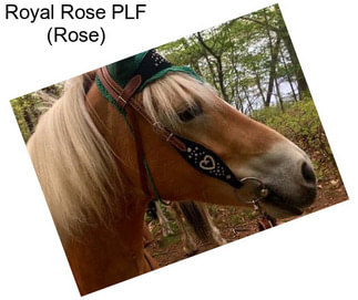 Royal Rose PLF (Rose)