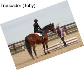 Troubador (Toby)