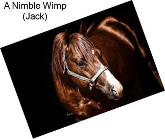 A Nimble Wimp (Jack)
