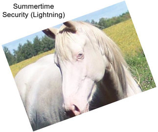 Summertime Security (Lightning)