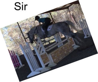 Sir