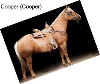 Cooper (Cooper)