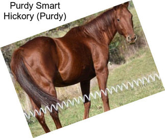 Purdy Smart Hickory (Purdy)