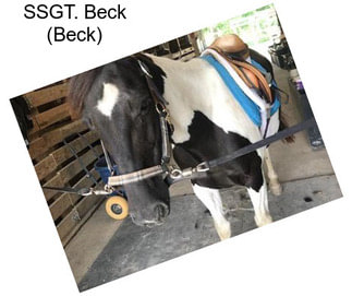 SSGT. Beck (Beck)