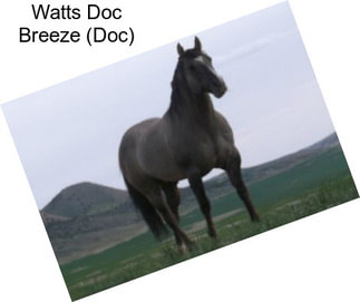 Watts Doc Breeze (Doc)