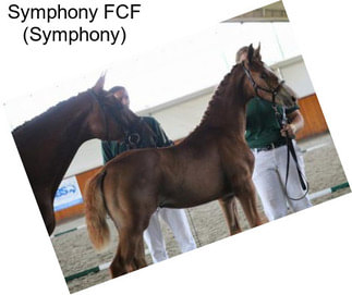 Symphony FCF (Symphony)