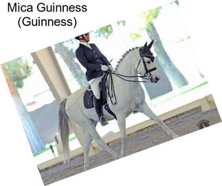 Mica Guinness (Guinness)