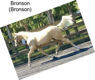 Bronson (Bronson)