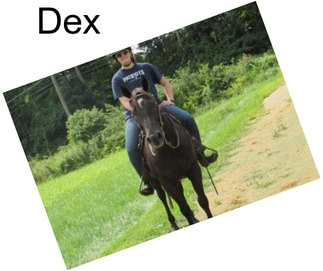 Dex