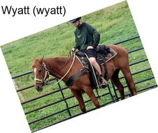 Wyatt (wyatt)