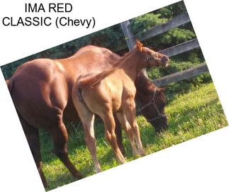 IMA RED CLASSIC (Chevy)
