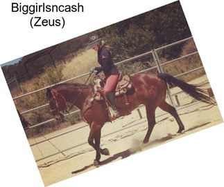 Biggirlsncash (Zeus)