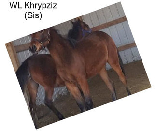 WL Khrypziz (Sis)