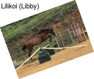 Lilikoi (Libby)
