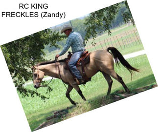 RC KING FRECKLES (Zandy)