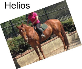 Helios