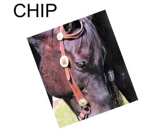 CHIP