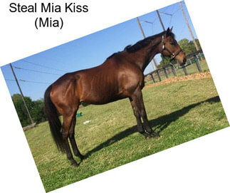 Steal Mia Kiss (Mia)