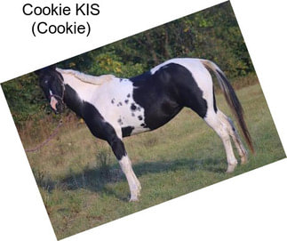 Cookie KIS (Cookie)