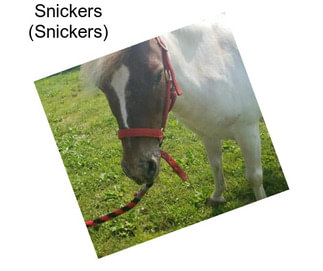 Snickers (Snickers)