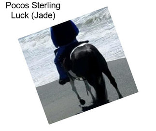 Pocos Sterling Luck (Jade)