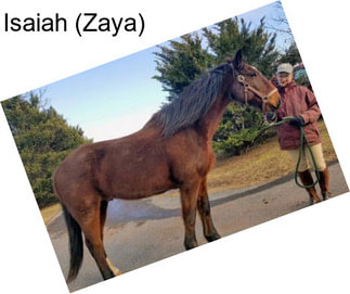 Isaiah (Zaya)