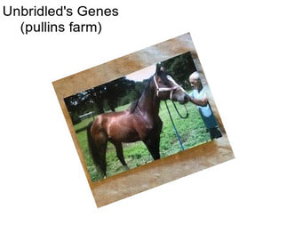 Unbridled\'s Genes (pullins farm)