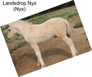 Landsdrop Nyx (Nyx)