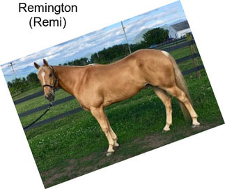 Remington (Remi)