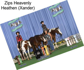 Zips Heavenly Heathen (Xander)