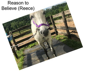 Reason to Believe (Reece)