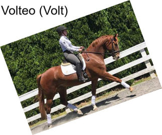 Volteo (Volt)