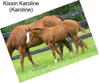 Kissin Karoline (Karoline)