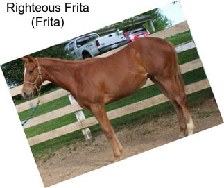 Righteous Frita (Frita)