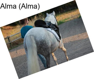 Alma (Alma)