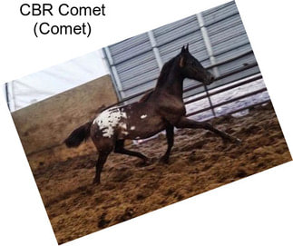 CBR Comet (Comet)