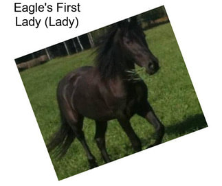Eagle\'s First Lady (Lady)