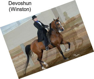 Devoshun (Winston)