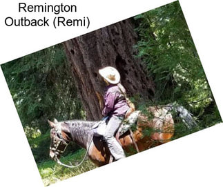 Remington Outback (Remi)